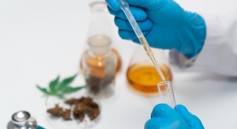 Lab Testing Hemp, Cannabis Lab Testing Hemp, Cannabis