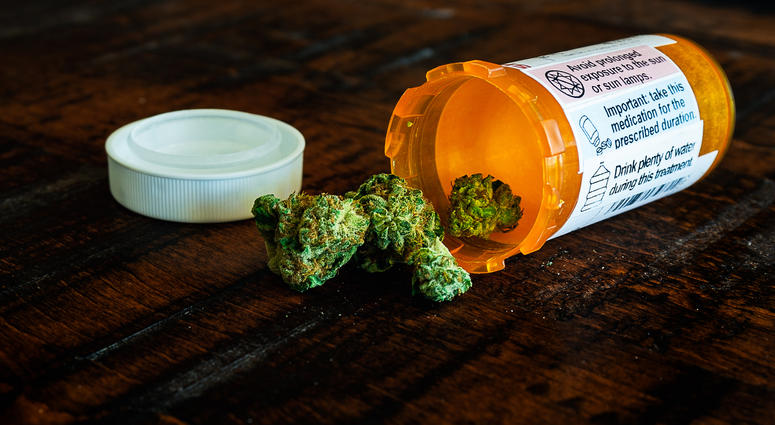 Medical Marijuana, Medical Marijuana,