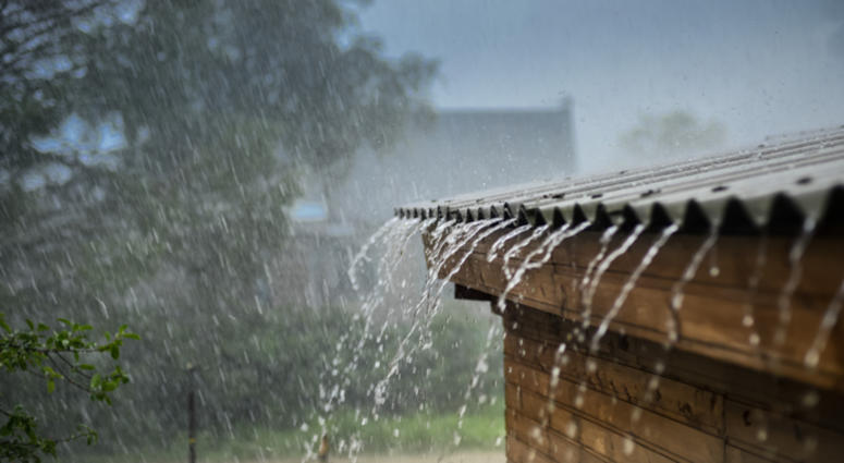 Rain Rain