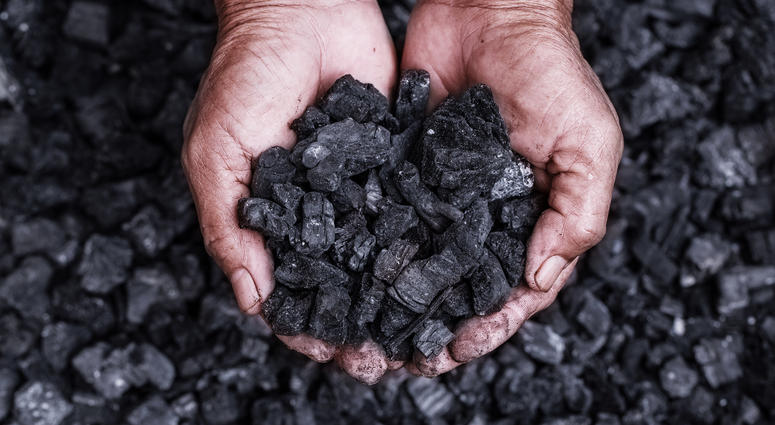 Coal Coal