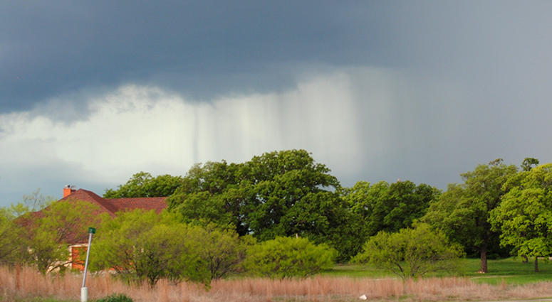 Rain Rain