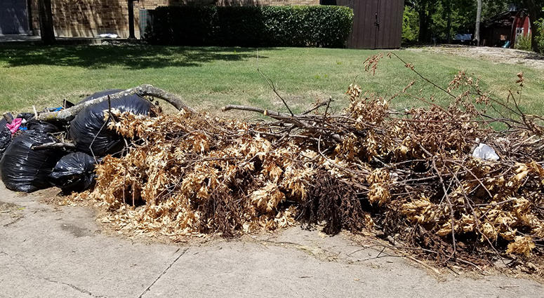 Dallas Storm Debris Dallas Storm Debris