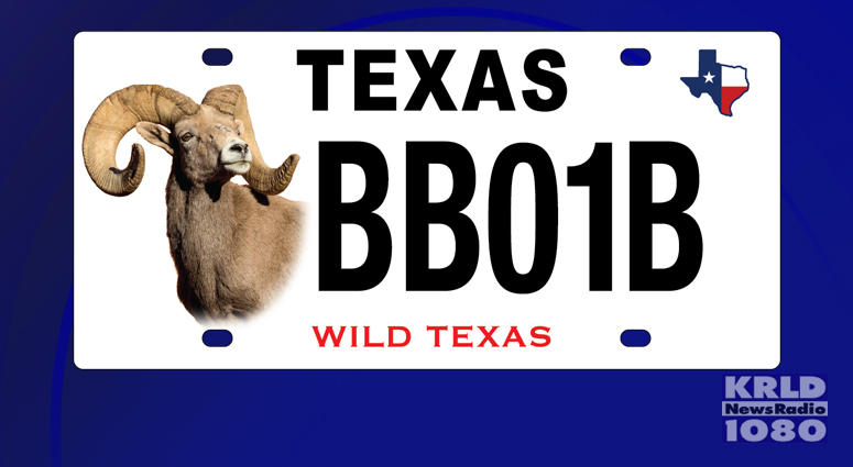 New Texas License Plate New Texas License Plate