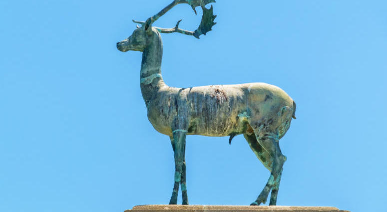 Deer Statue Deer Statue