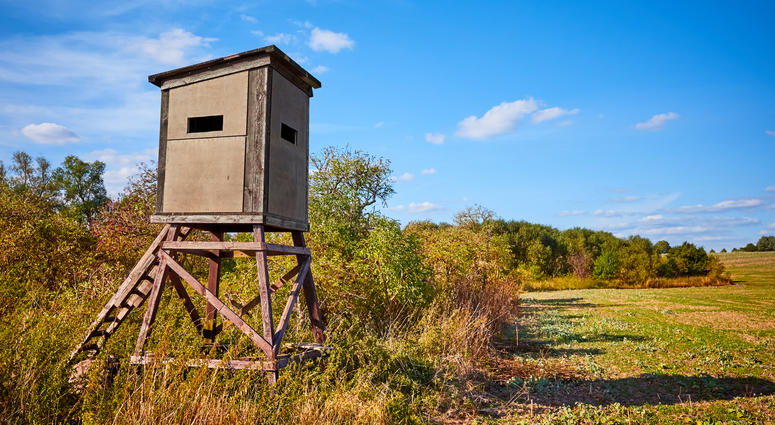 Deer Blind, Deer Hunting Deer Blind, Deer Hunting