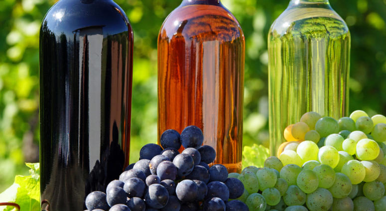 Grapes, Wine Grapes, Wine