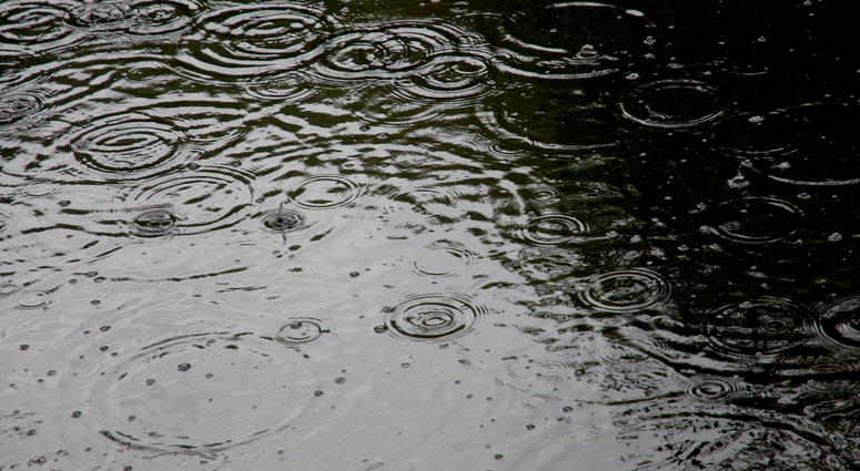 Rain Rain