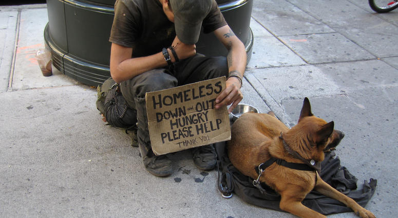 Homeless Homeless