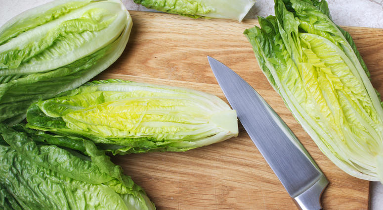 Romaine Lettuce Romaine Lettuce