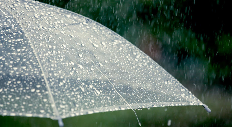 Rain Rain
