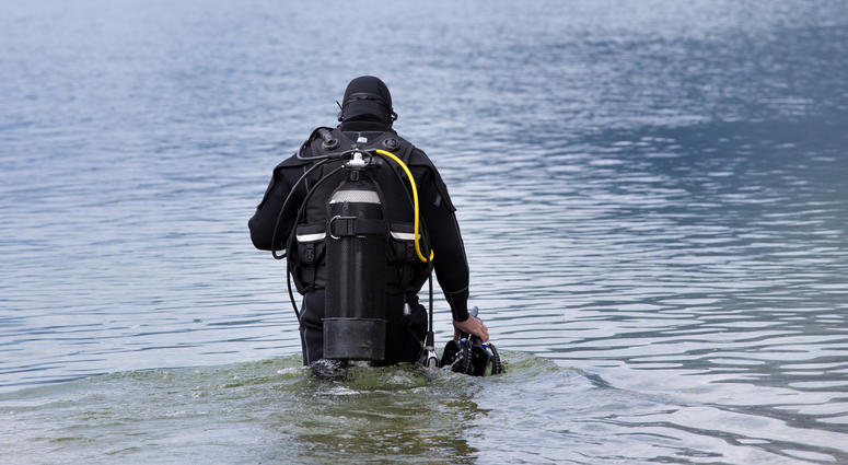 Diver Diver
