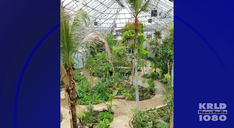 Fort Worth Botanic Garden Rainforest Conservatory Fort Worth Botanic Garden Rainforest Conservatory