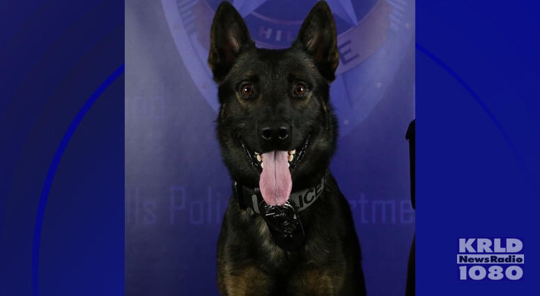 K-9 Koba K-9 Koba