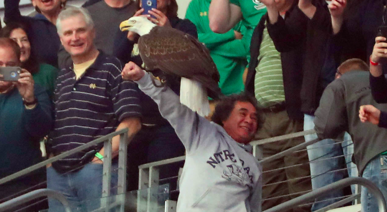 photo Credit: Kevin Jairaj-USA TODAY Sports bald eagle