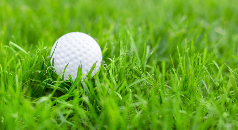 Golf Ball Golf Ball