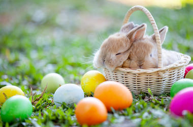 Easter Easter