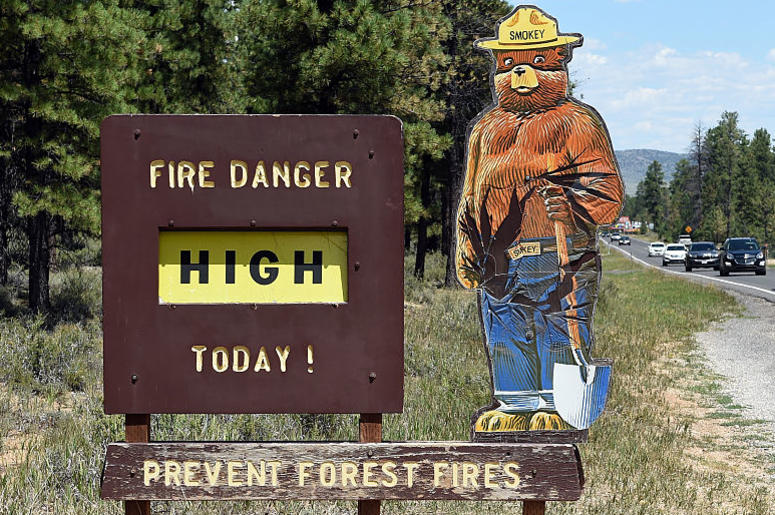 Prevent Wildfires Smokey Bear