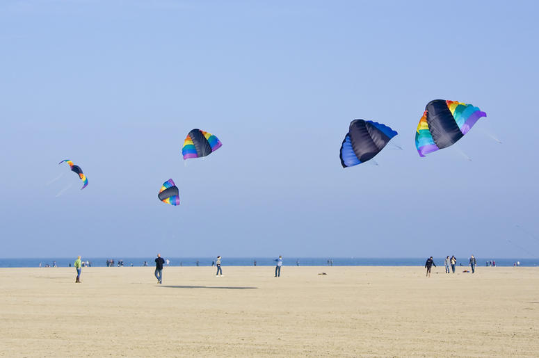 Kites at the beach Kites at the beach