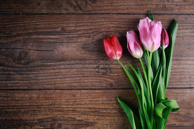 Top 5 Surprising Things About The Month of March Top 5 Surprising Things About The Month of March