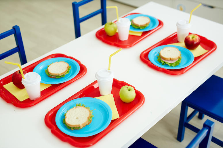 School Lunch, Table, Sandwiches, Apple, Drink School Lunch, Table, Sandwiches, Apple, Drink