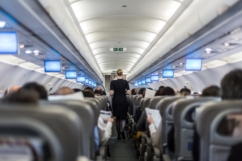 Flight Attendant, Plane, Commercial Airline, Crowded, Aisle Flight Attendant, Plane, Commercial Airline, Crowded, Aisle