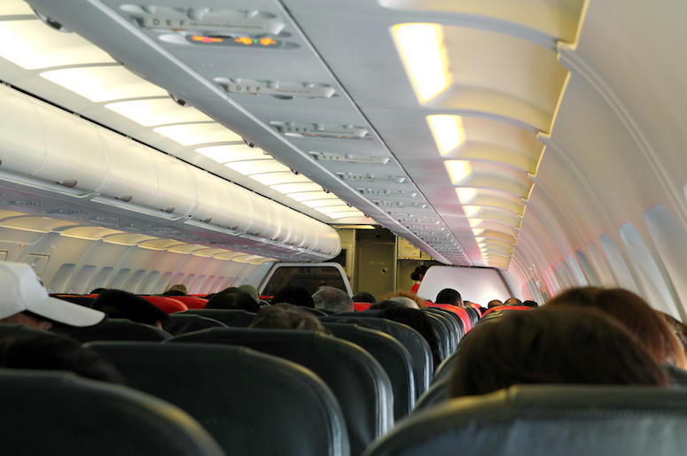 Airplane, Cabin, Passengers, Flight Airplane, Cabin, Passengers, Flight