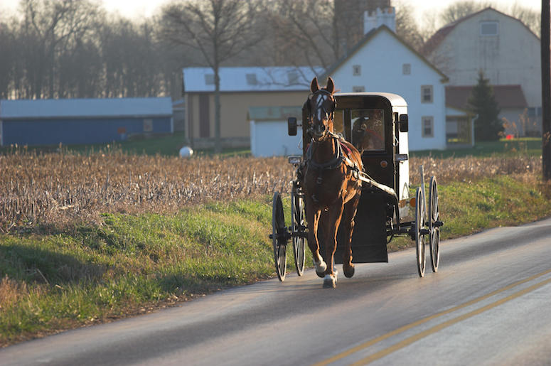 Amish, Horse, Buggy Amish, Horse, Buggy