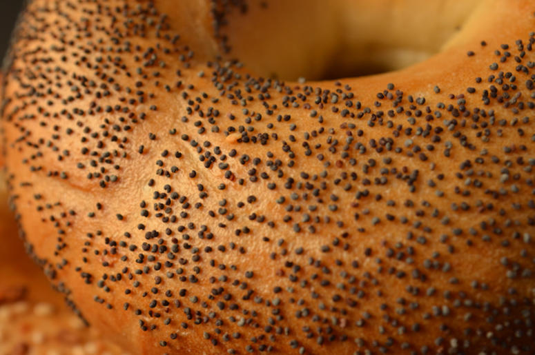 Poppy Seed Bagel Poppy Seed Bagel