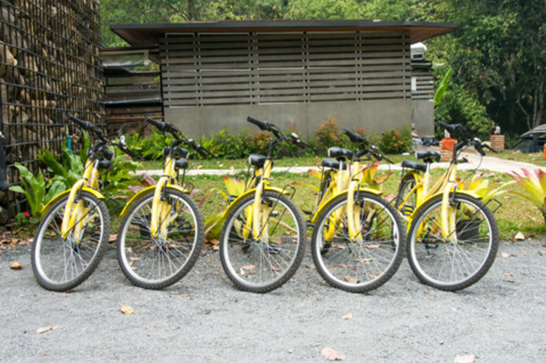 Yellow OFO Bikes
