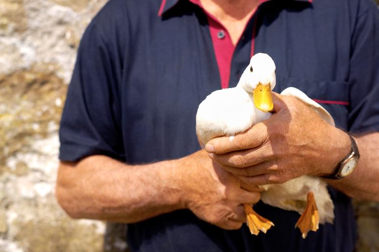 Guy Holding a duck