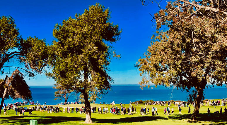 Crowd Gathers for Jordan Spieth Crowd Gathers for Jordan Spieth