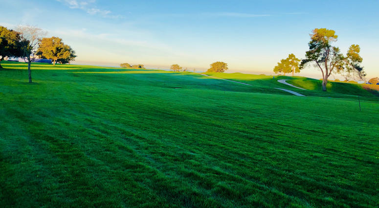 Morning From Hole 10 North Course Morning From Hole 10 North Course