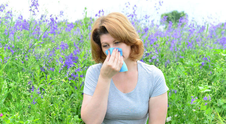 6 tips to manage allergies naturally 6 tips to manage allergies naturally