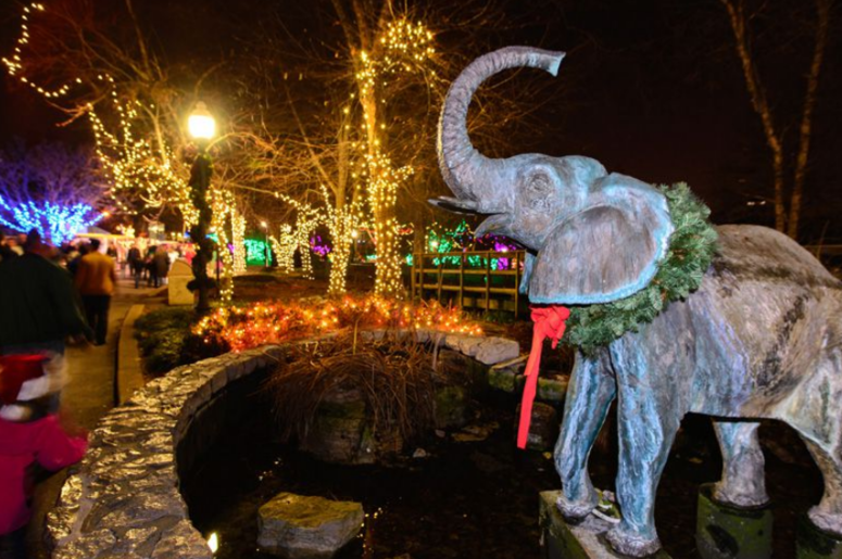 Saint Louis Zoo Wild Lights Saint Louis Zoo Wild Lights