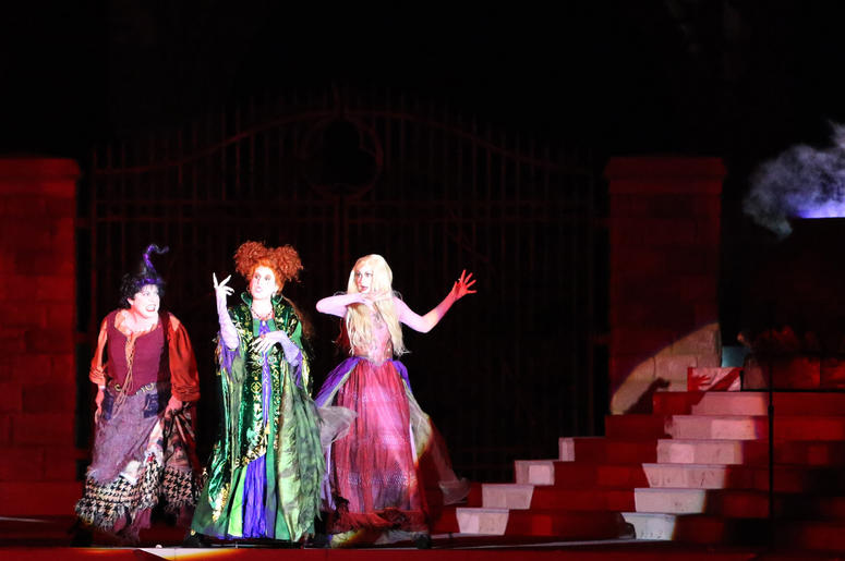 Hocus Pocus Hocus Pocus