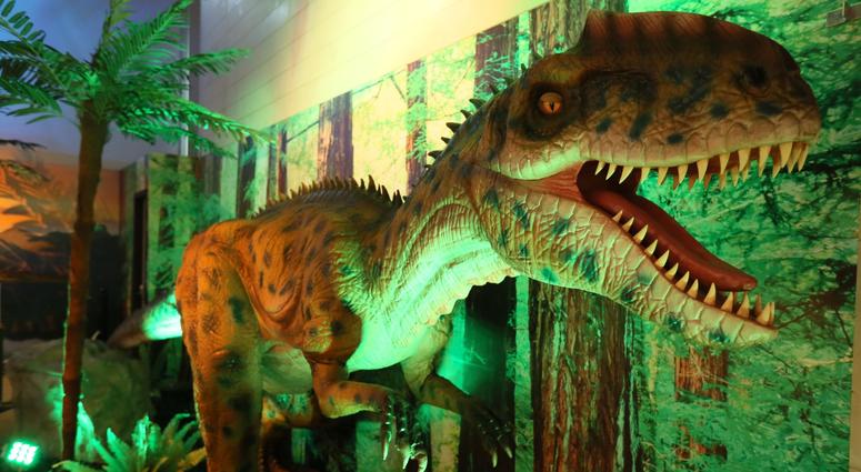 "Neovenator," which means “new hunter,” grew to 25 feet long and weighed 2,200 to 4,400 pounds. It's on display at The Academy of Natural Sciences through January 2020. Dinosaur exhibit at The Academy of Natural Sciences