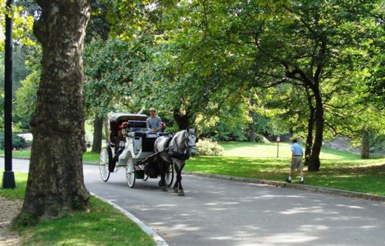 Central Park in New York City Central Park