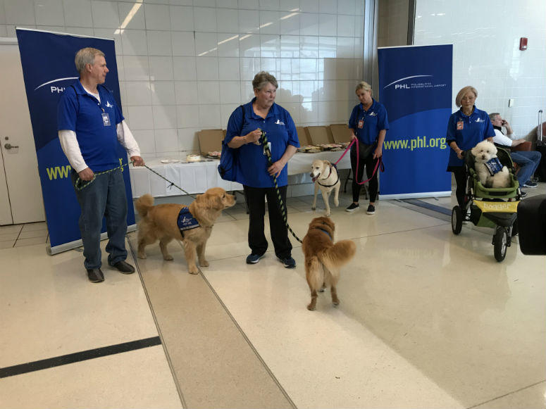 Therapy dogs as a part of a pilot program to help reduce stress for travelers at Philadelphia International Airport. A pilot program to help reduce stress for travelers at Philadelphia International Airport is taking off.