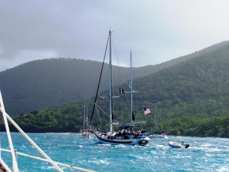 tortola Tortola