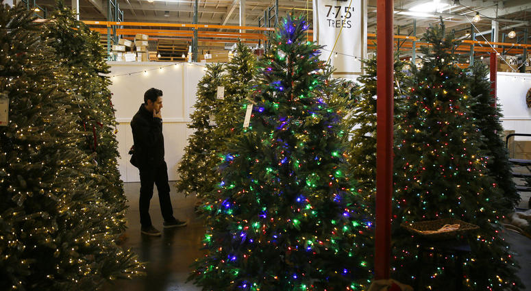 In this Friday, Nov. 30, 2018, photo, a man looks at artificial Christmas trees for sale at the Balsam Hill Outlet store in Burlingame, Calif. In this Friday, Nov. 30, 2018, photo, a man looks at artificial Christmas trees for sale at the Balsam Hill Outlet store in Burlingame, Calif.