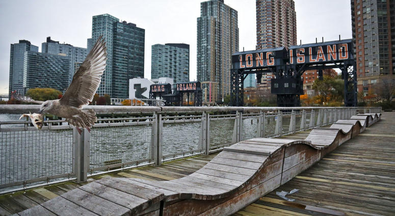 FILE - In this Nov. 13, 2018, file photo, a sea gull flies off holding fish scraps near a former dock facility, with "Long Island" painted on old transfer bridges at Gantry State Park in the Long Island City section of the Queens Borough in New York. FILE - In this Nov. 13, 2018, file photo, a sea gull flies off holding fish scraps near a former dock facility, with "Long Island" painted on old transfer bridges at Gantry State Park in the Long Island City section of the Queens Borough in New York.