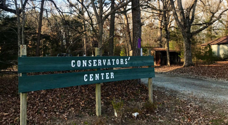 The Conservators Center says a worker has been killed by a lion that got loose from a locked space, Sunday, Dec. 30, 2018, in Burlington, N.C. The Conservators Center