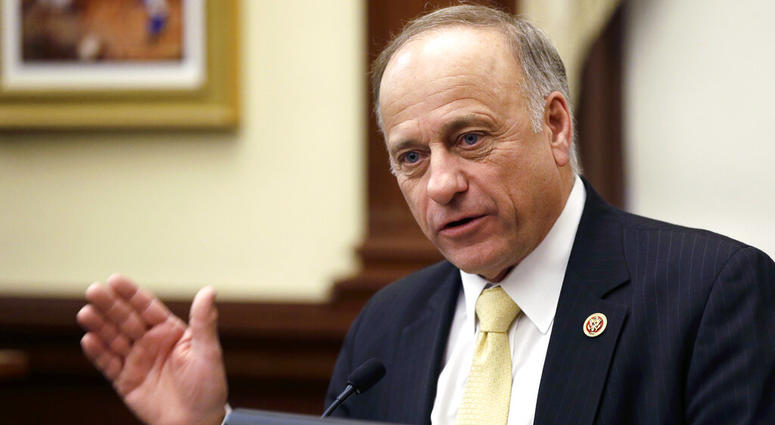 In this Jan. 23, 2014, file photo, Rep. Steve King, R-Iowa, of Iowa speaks in Des Moines. Rep. Steve King