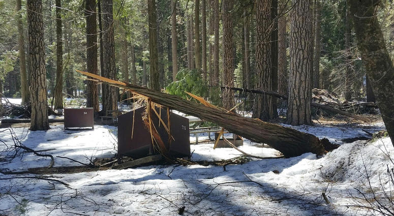 In this photo released Wednesday, March 13, 2019, by the National Park Service, is a damaged bear box after the recent heavy snowpack in Yosemite National Park, Calif. In this photo released Wednesday, March 13, 2019, by the National Park Service, is a damaged bear box after the recent heavy snowpack in Yosemite National Park, Calif.