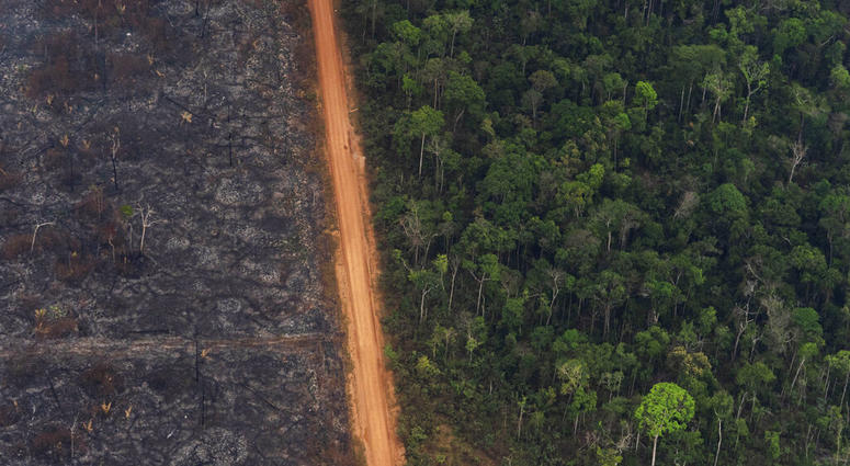 A lush forest sits next to a field of charred trees in Vila Nova Samuel, Brazil, Tuesday, Aug. 27, 2019. Lingering smoke in the Amazon caused concern Tuesday among Brazilians who say that respiratory problems, particularly among children and the elderly, have increased as fires in the region rage.