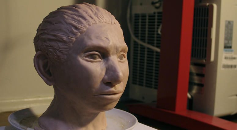 This image shows a statue reconstruction of a juvenile female Denisovan based on a skeletal profile reconstructed from ancient DNA methylation maps. This image shows a statue reconstruction of a juvenile female Denisovan based on a skeletal profile reconstructed from ancient DNA methylation maps.