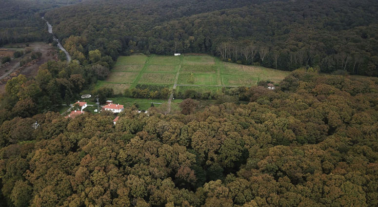 A Turkish official says investigators are assessing the possibility whether the remains of Jamal Khashoggi may have been taken to the forest on the outskirts of Istanbul. An aerial view of the Belgrade Forest in Istanbul, Friday, Oct. 19, 2018.