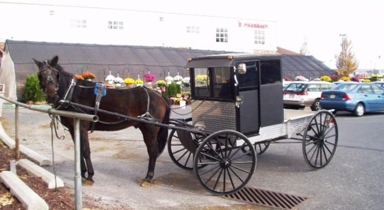 An Amish buggy An Amish buggy