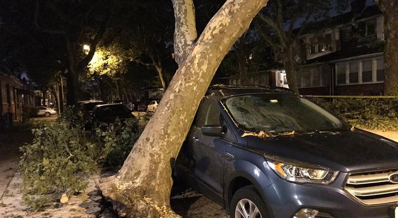 In Frankford, a tree slammed into car, and the car actually held the tree up, preventing it from falling further. In Frankford, a tree slammed into car, and the car actually held the tree up, preventing it from falling further.