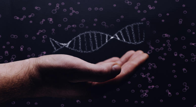 DNA. DNA.